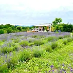 Vakantiehuis Vulcan Eco Retreat *
