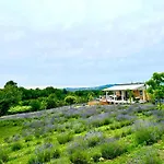 Vulcan Eco Retreat Vakantiehuis *