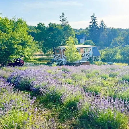 Σπίτι διακοπών Vulcan Eco Retreat Kisapati