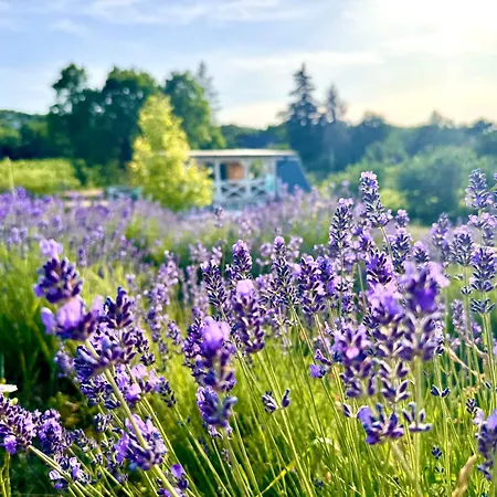 Σπίτι διακοπών Vulcan Eco Retreat Kisapati