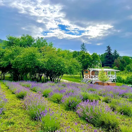 Σπίτι διακοπών Vulcan Eco Retreat *