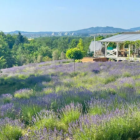 Vulcan Eco Retreat Kisapati