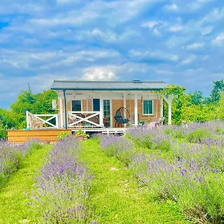 Vulcan Eco Retreat *