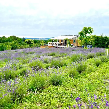 Ferienhaus Vulcan Eco Retreat *