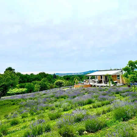 Vulcan Eco Retreat Casa de Férias *