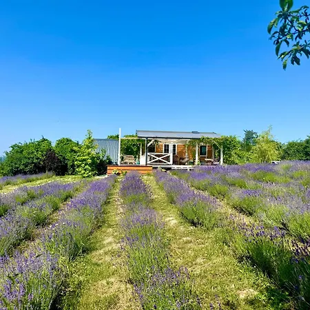 Σπίτι διακοπών Vulcan Eco Retreat Kisapati