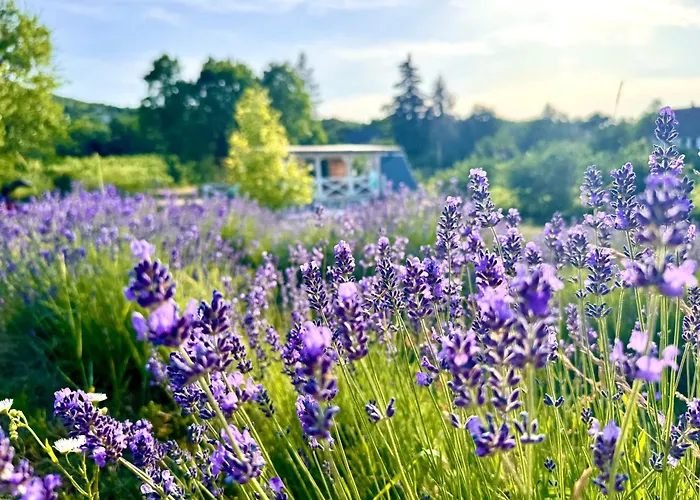 Holiday home Vulcan Eco Retreat Kisapati
