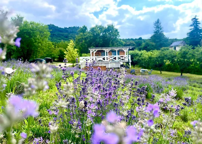 Vulcan Eco Retreat Kisapati