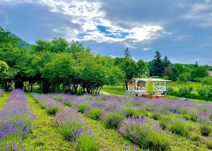 Holiday home Vulcan Eco Retreat *