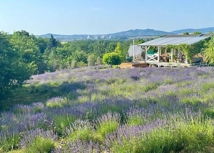 Vulcan Eco Retreat Kisapati