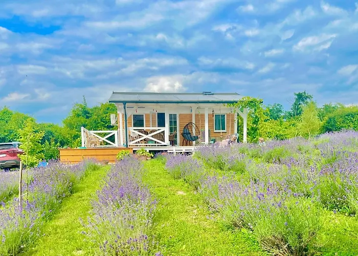 Vulcan Eco Retreat *