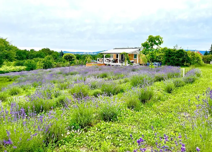 Holiday home Vulcan Eco Retreat *