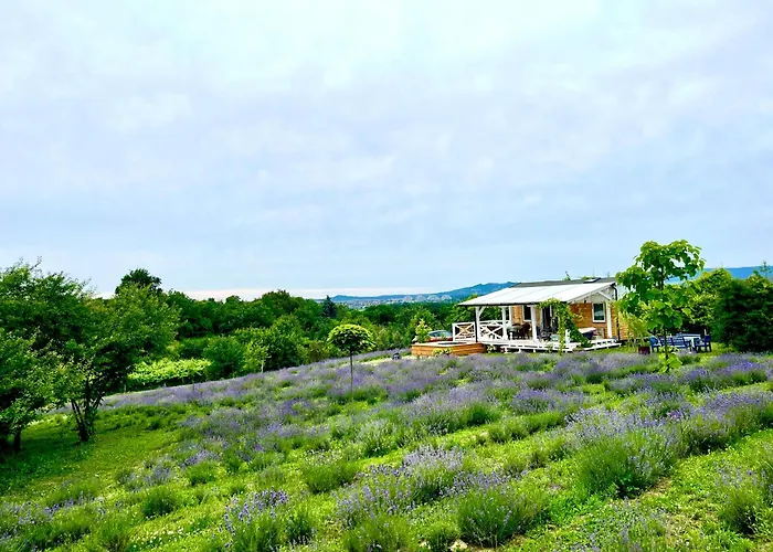 Vulcan Eco Retreat Holiday home *