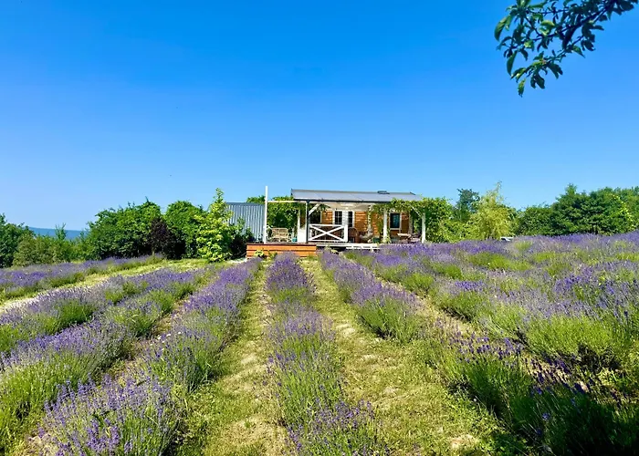 Дом отдыха Vulcan Eco Retreat Kisapati